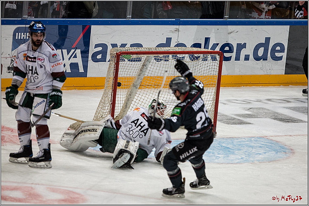DEL, Koelner Haie - Augsburger Panther, 13.01.2017